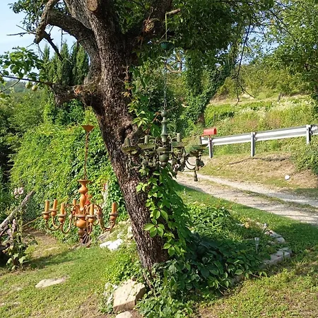 Casa Bardacchino Guest house *
